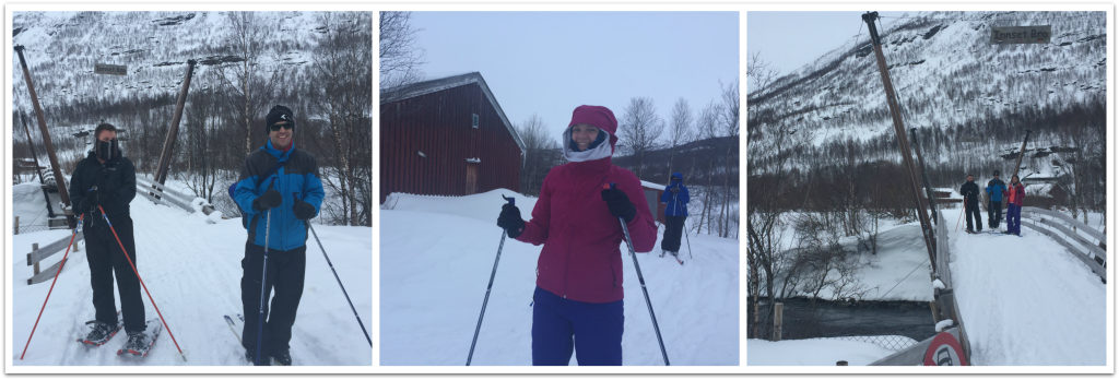 collage - cabin polse skiing