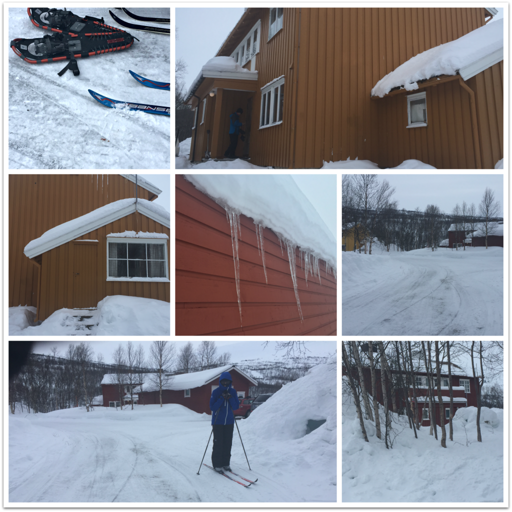 collage - cabin skiing