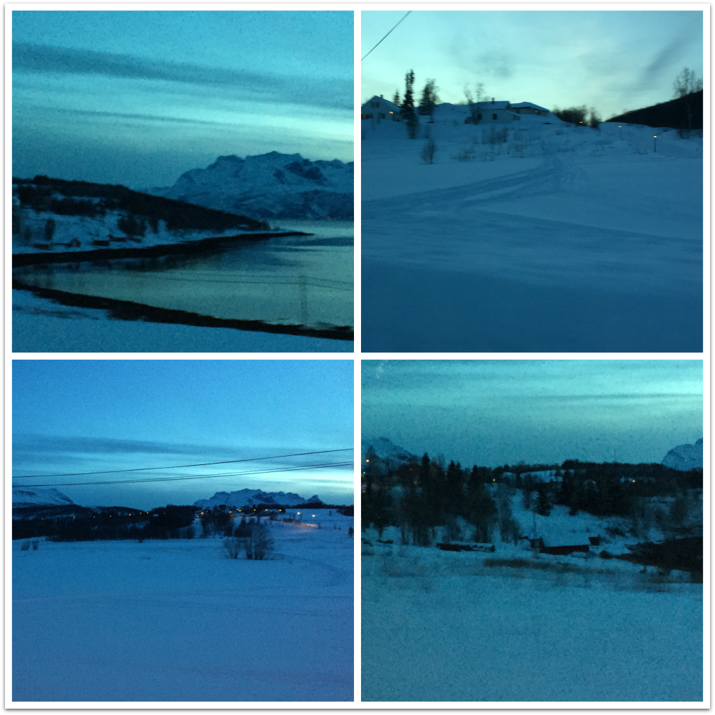 collage - drive to our cabin