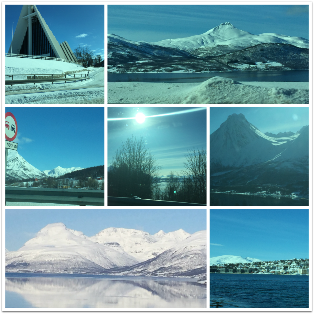 collage - driving to cabin