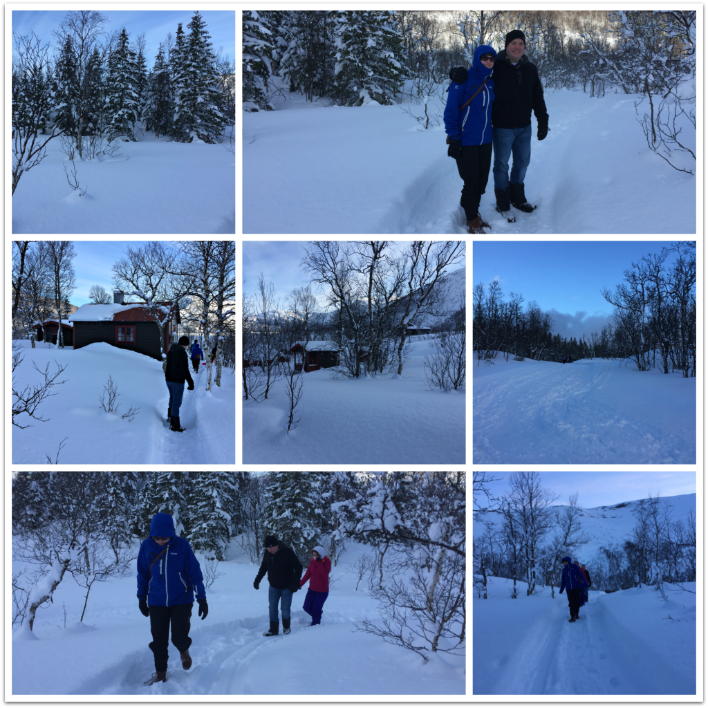 collage - walk to cabin